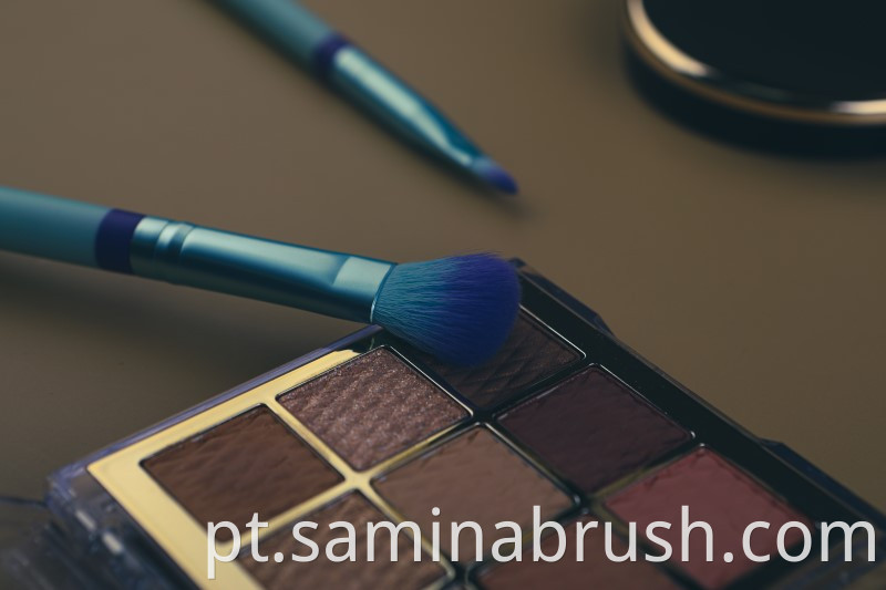 Details Makeup Brush 2030